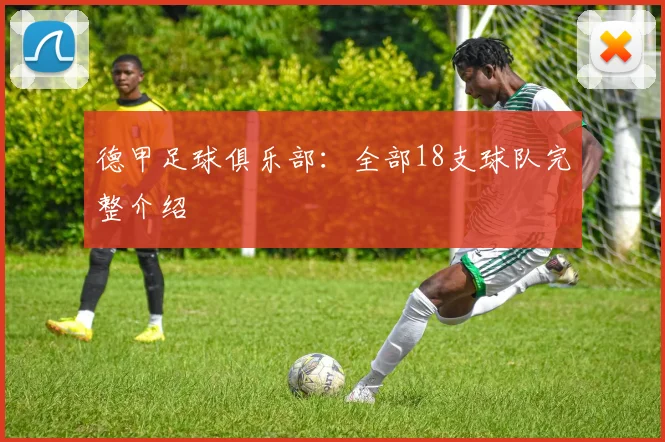 德甲足球俱乐部:全部18支球队完整介绍