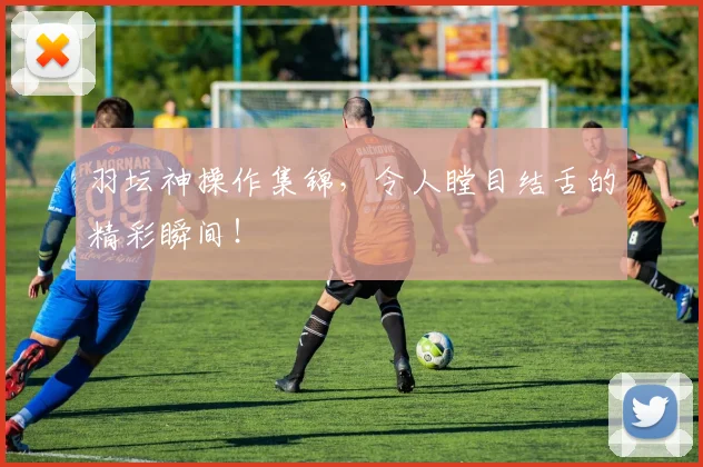 羽坛神操作集锦,令人瞠目结舌的精彩瞬间!