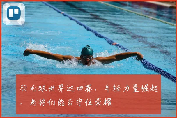 羽毛球世界巡回赛，年轻力量崛起，老将们能否守住荣耀