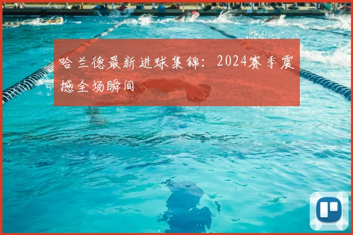 哈兰德最新进球集锦：2024赛季震撼全场瞬间