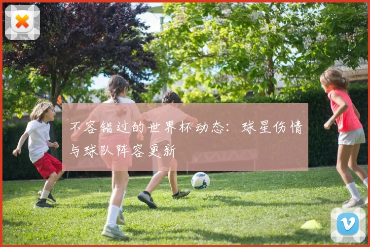 不容错过的世界杯动态：球星伤情与球队阵容更新